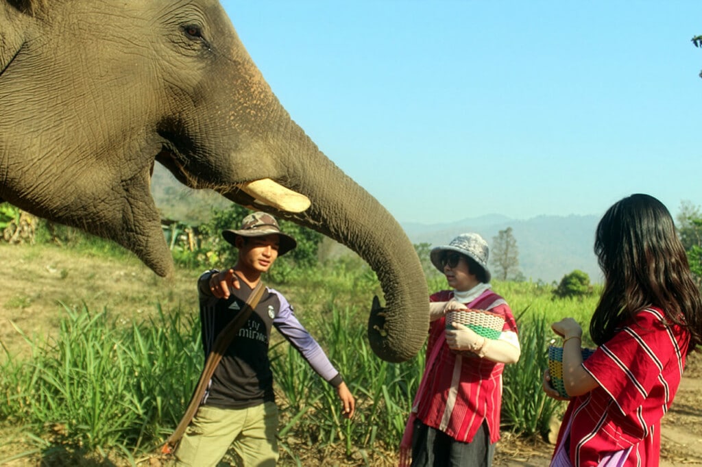 Kerchor Eco Elephant Park is celebrating National Elephant Day