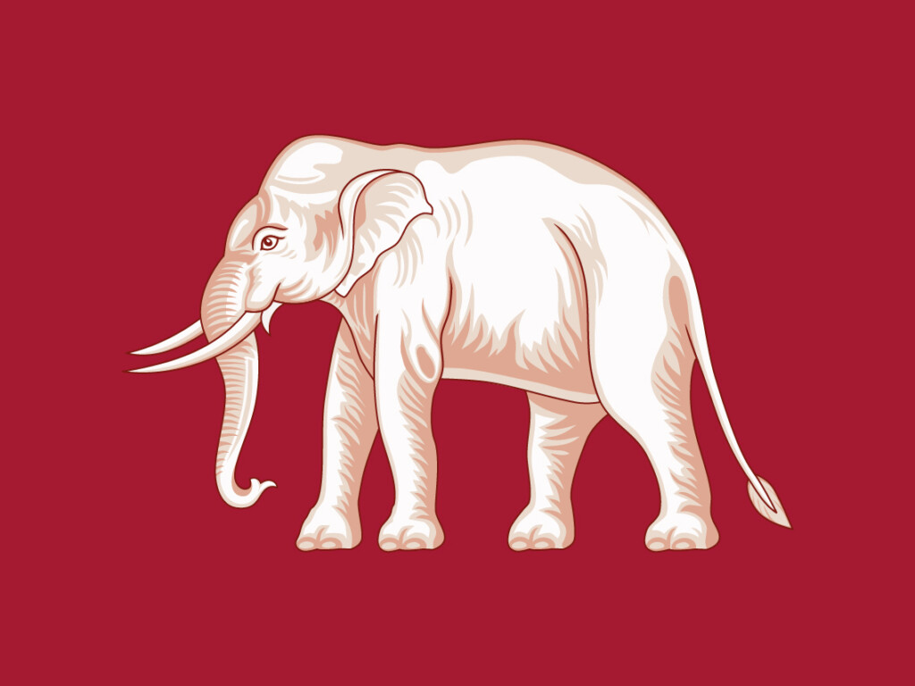 White Elephant in Thailand