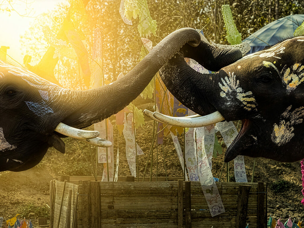 We wish You a happy Songkran 2019