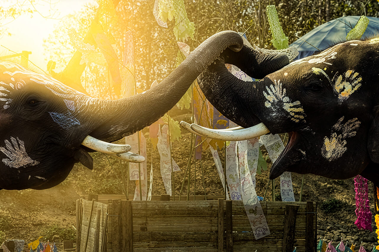 We wish You a happy Songkran 2019