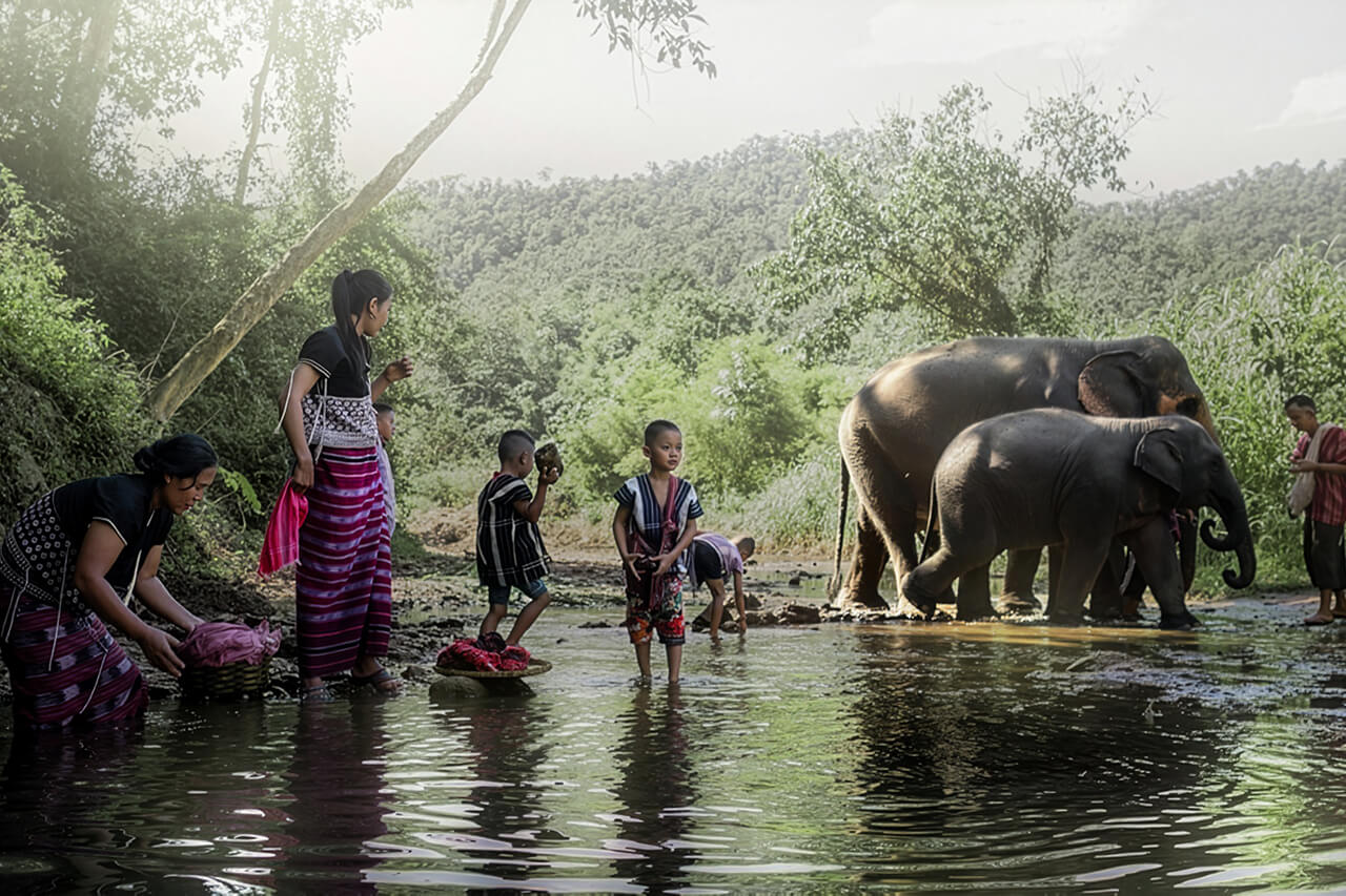 Learn how we Love our Elephants