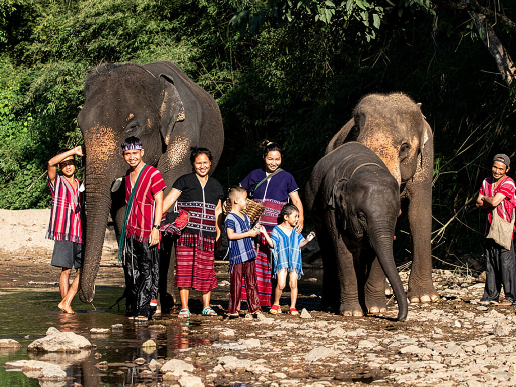 Memorable Experiences With Elephants