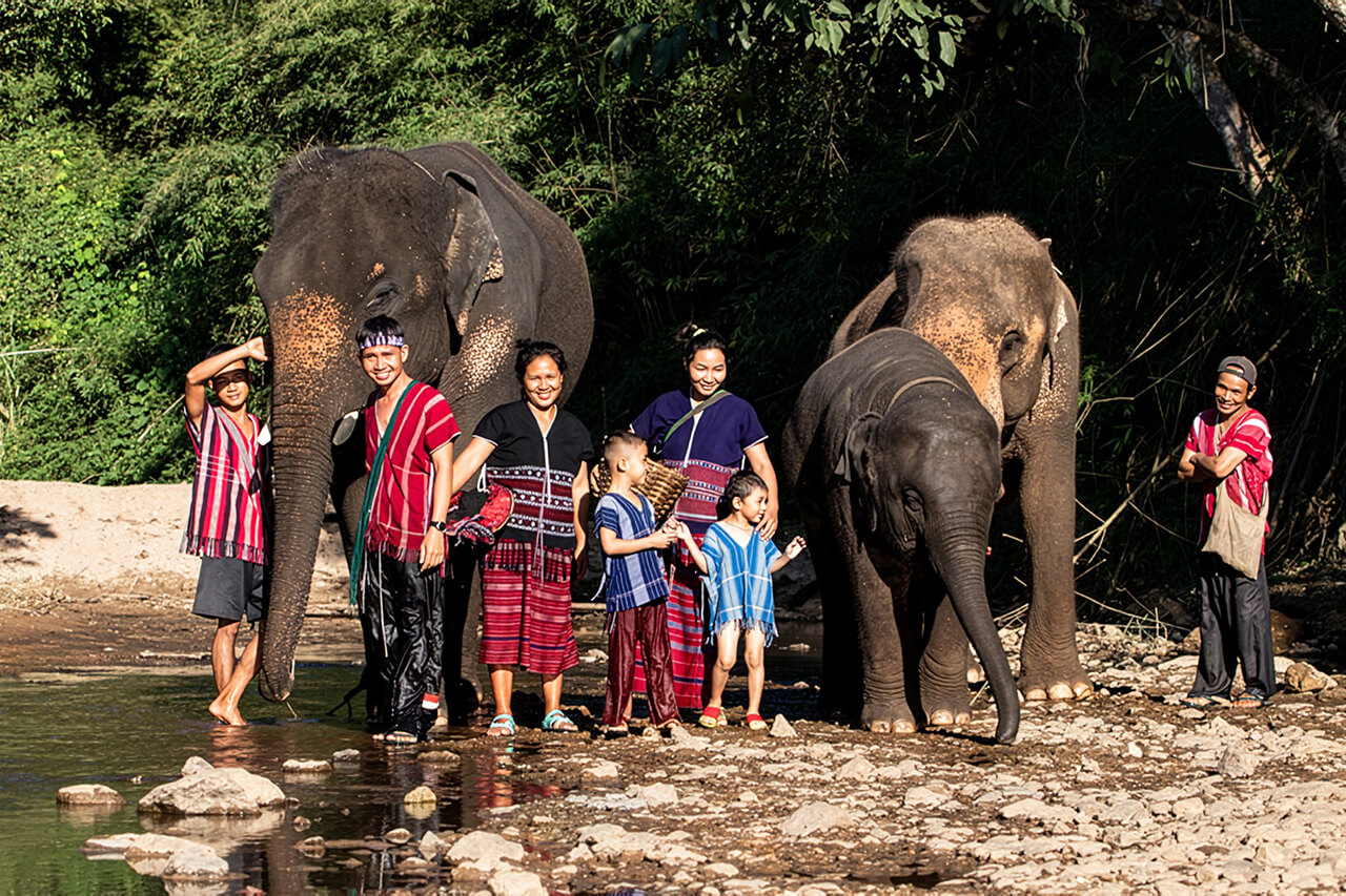 Memorable Experiences With Elephants