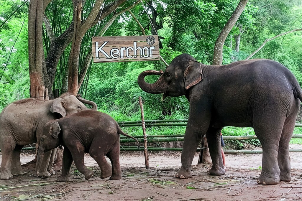 Temporary Closed Due to Maintenance