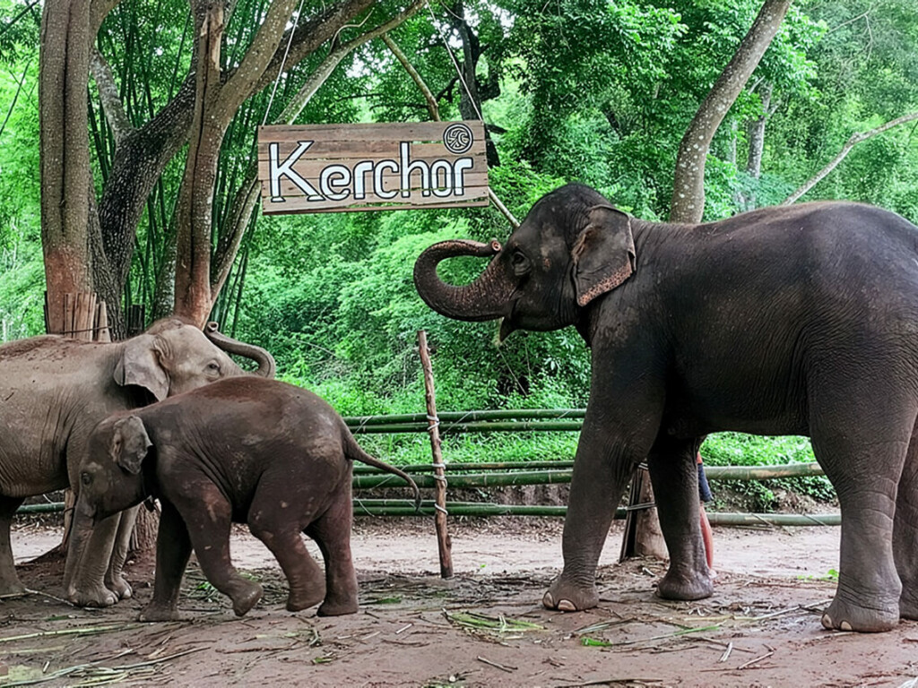 Temporary Closed Due to Maintenance