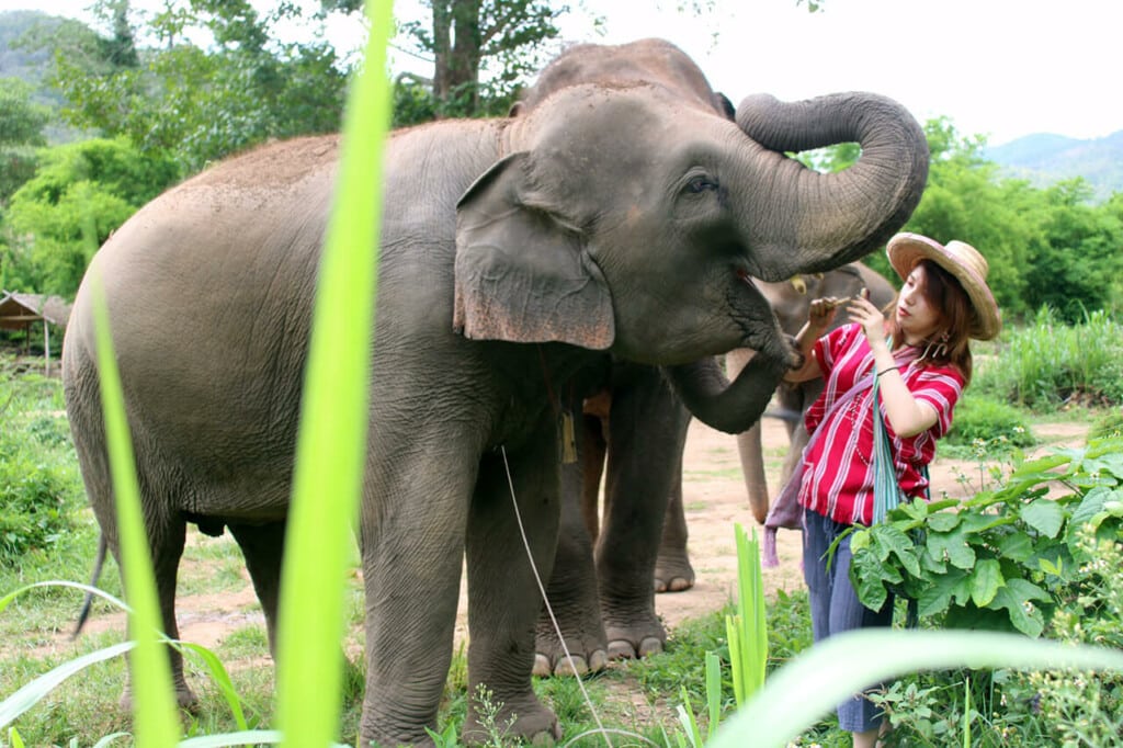 Why we do – What we do