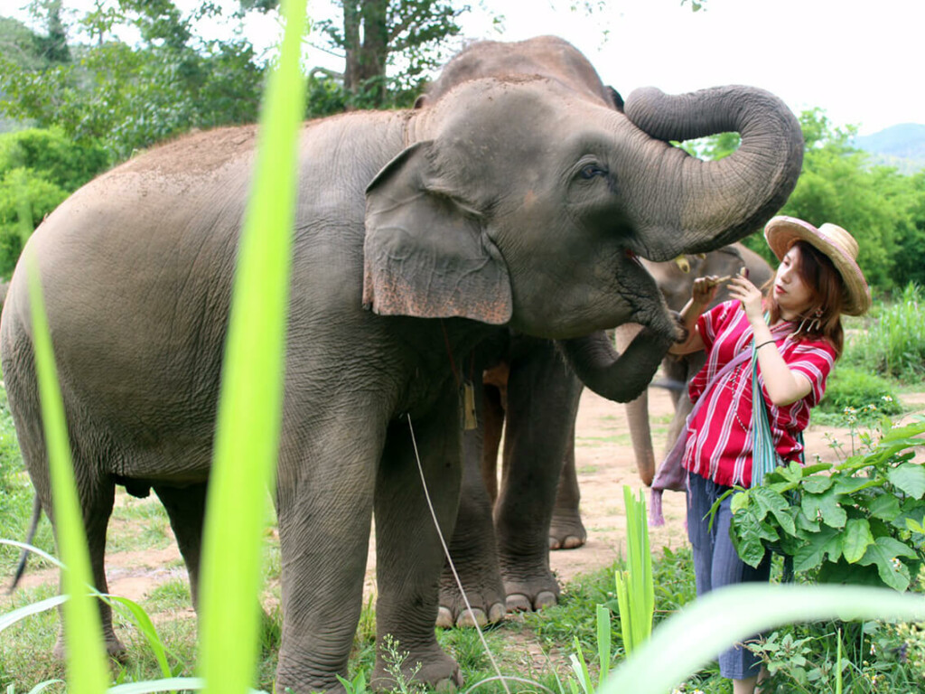 Why we do – What we do