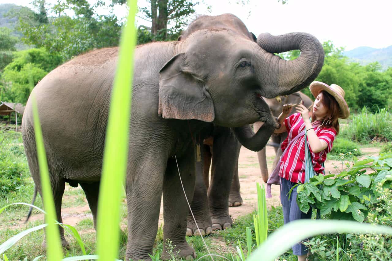 Why we do – What we do