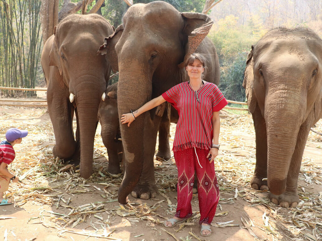 Temporary Closing of Afternoon Activities