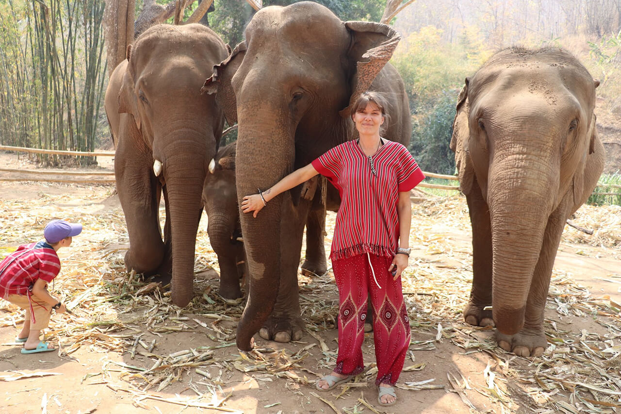 Temporary Closing of Afternoon Activities