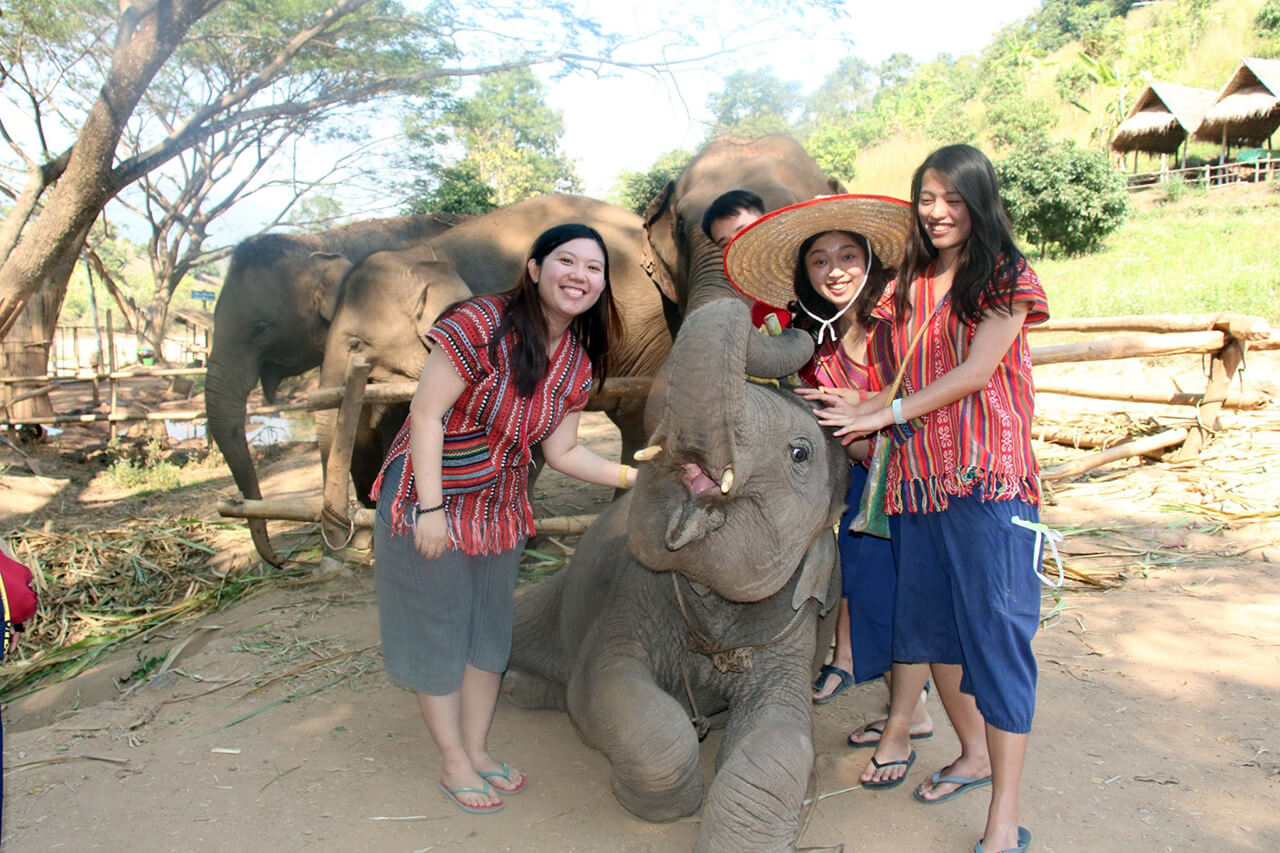 Our Feelings Are With You