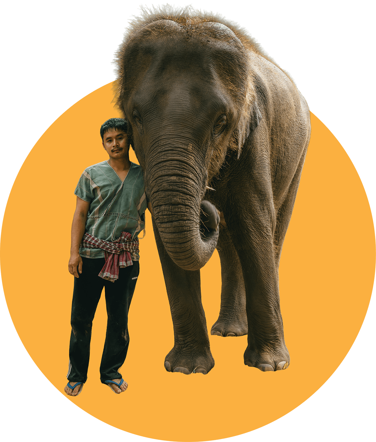 Aree, Kerchor Chiang Mai