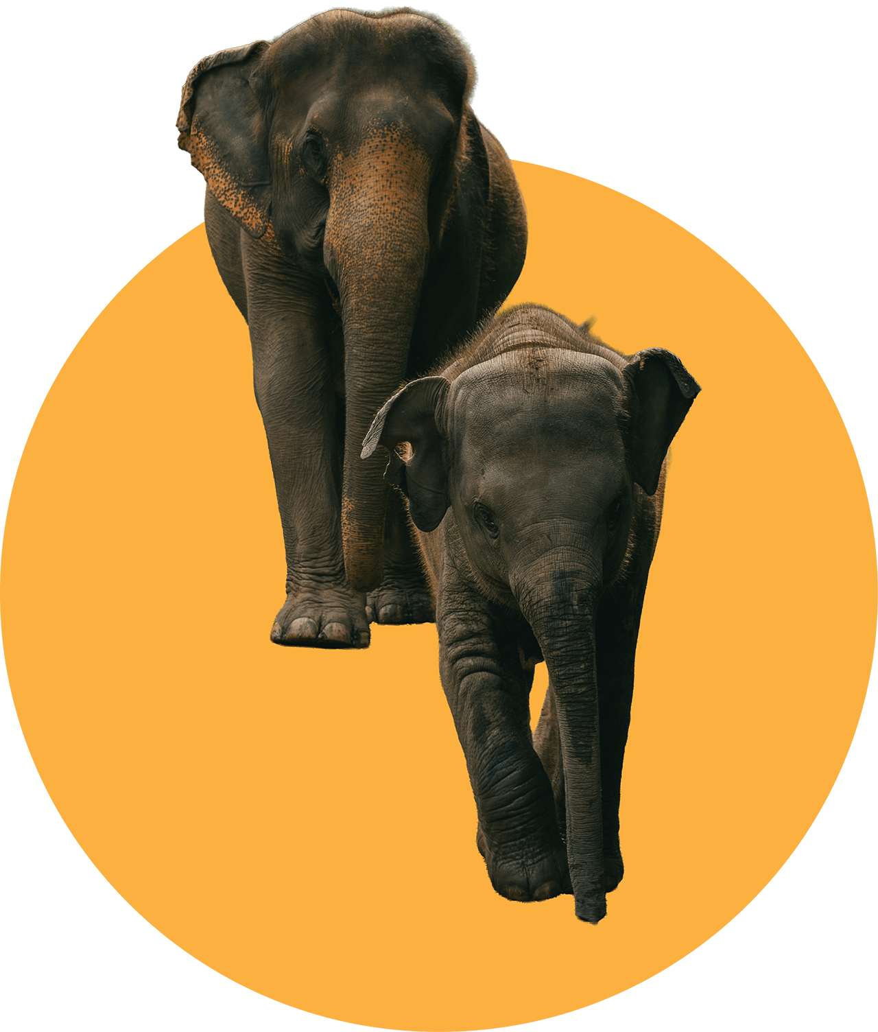 Eyejung, Kerchor Chiang Mai