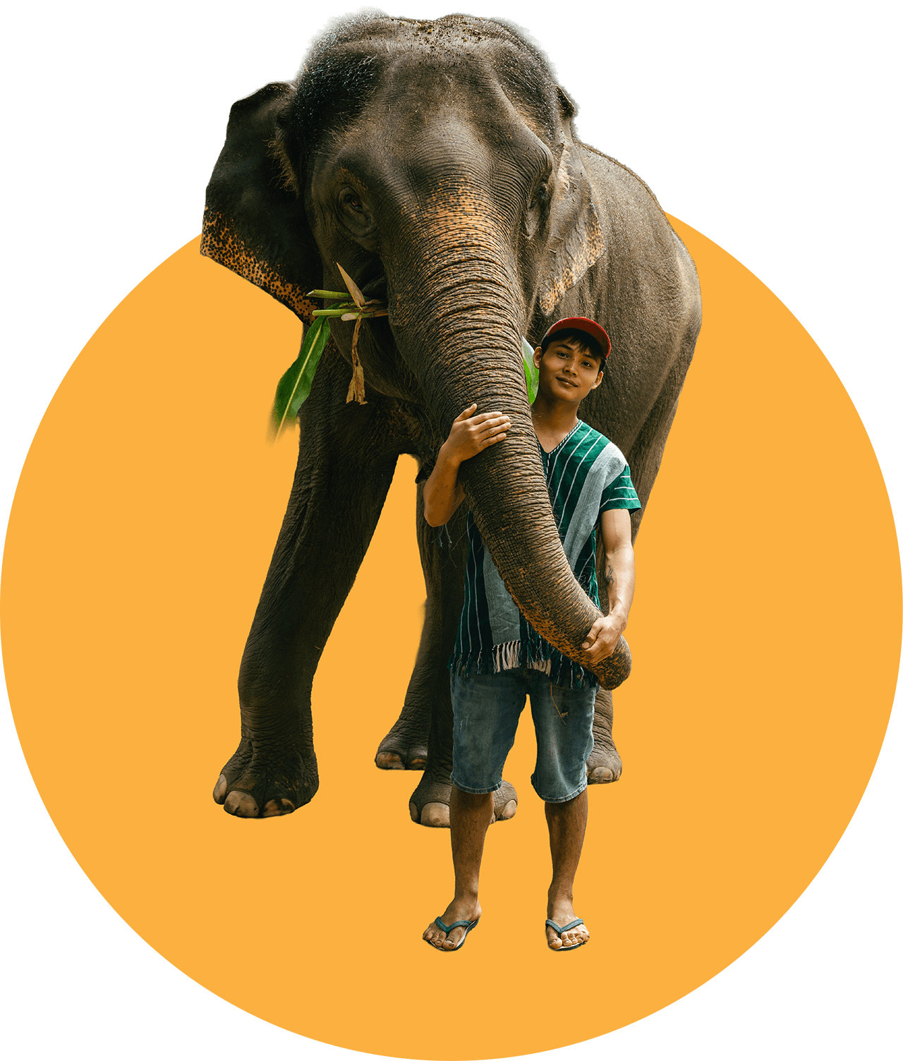 Mae Boon Yuean, Kerchor Elephant Chiang Mai