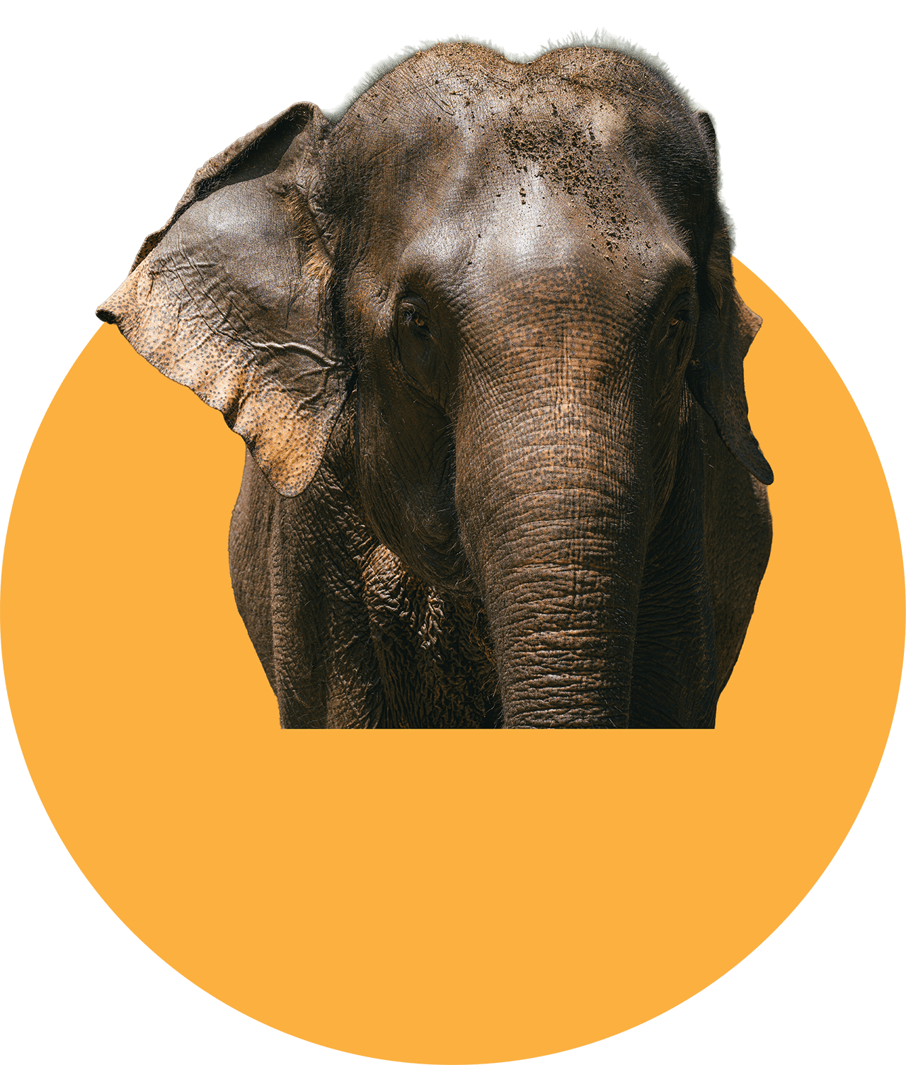 Mae Paruay, Kerchor Chiang Mai