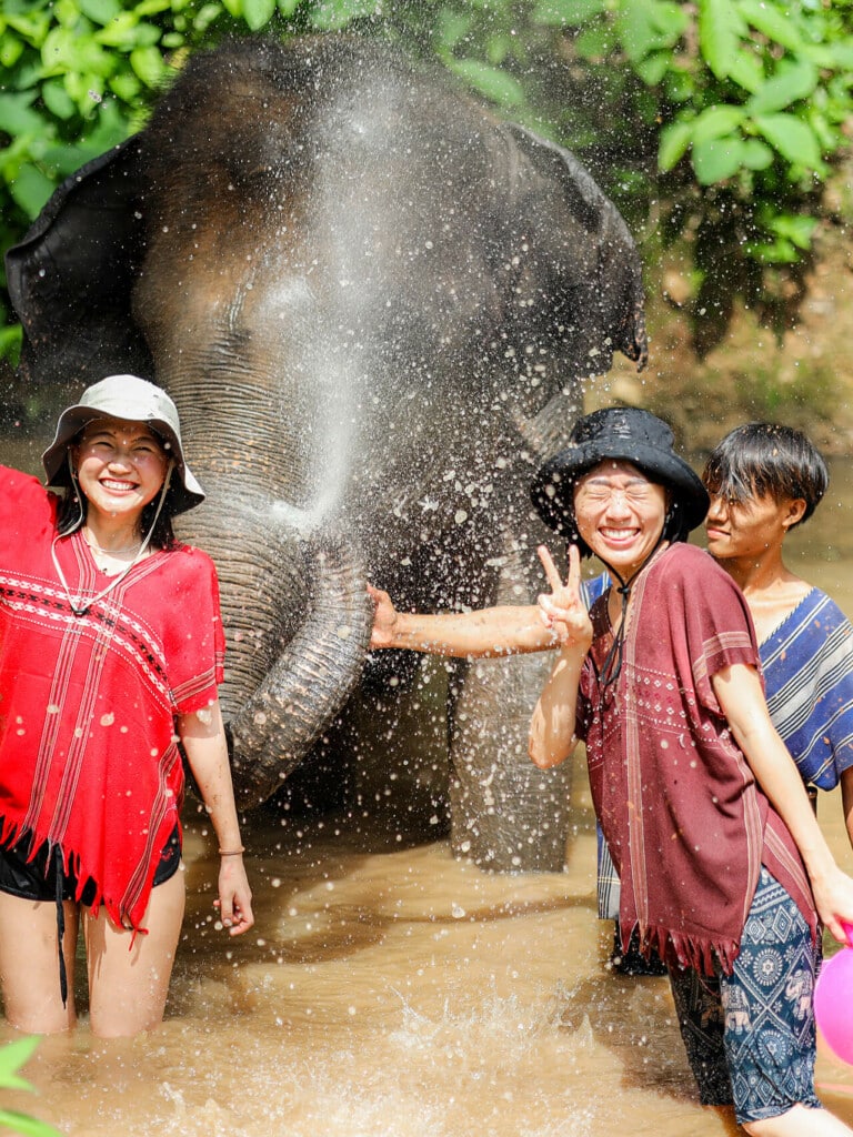 Full day Elephant + Bamboo rafting - waterfall