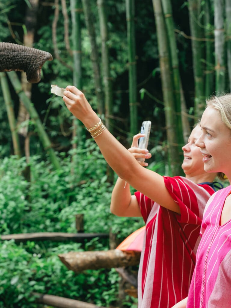 Half day Elephant Morning - Afternoon