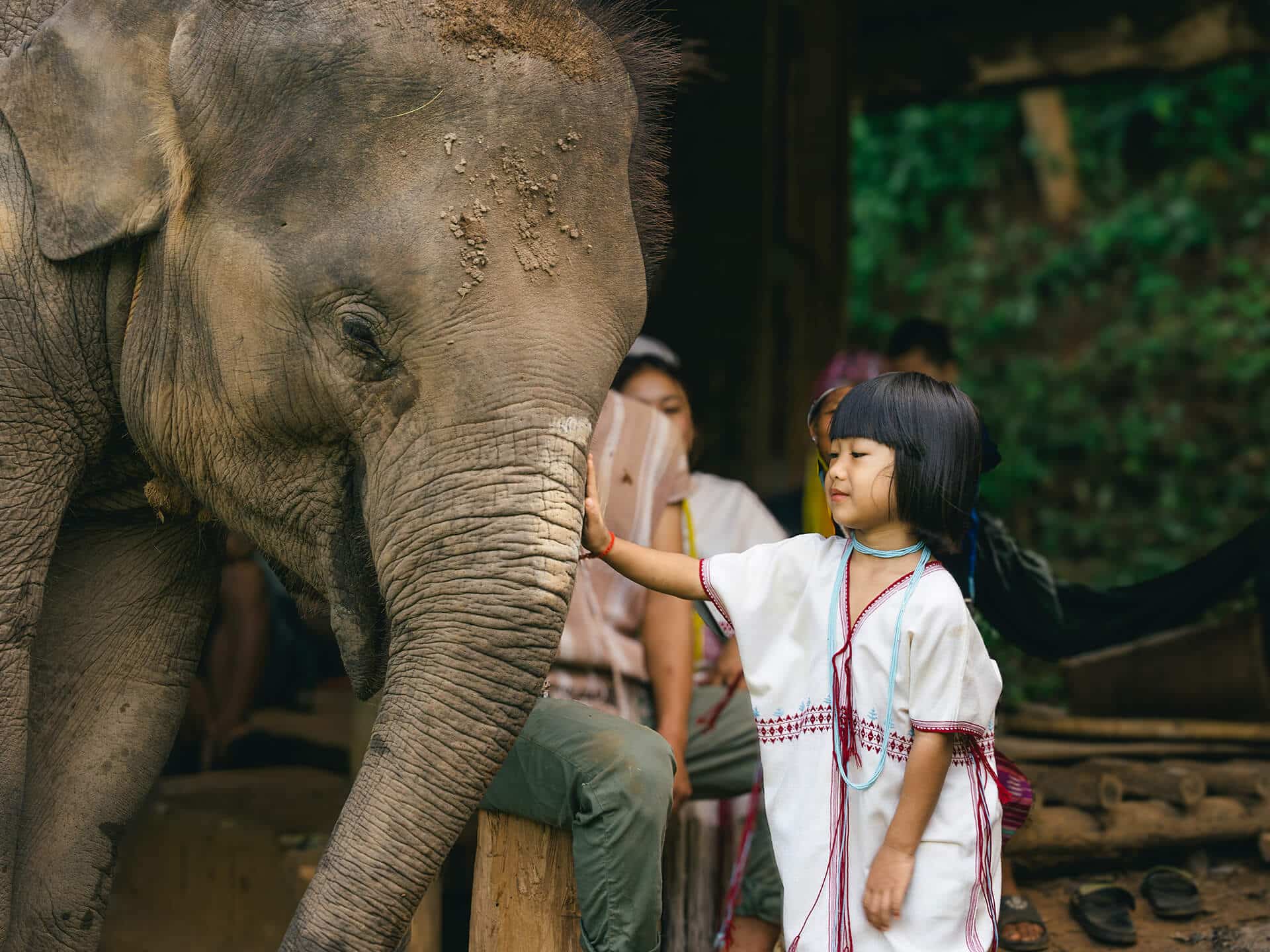 Kerchor Elephant Gallery Image 01