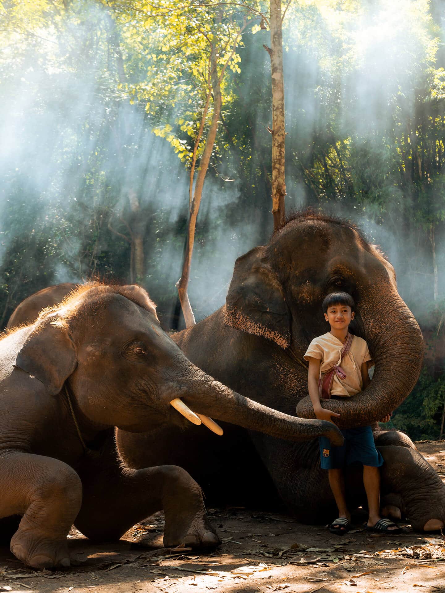 Kerchor Elephant Gallery Image 04