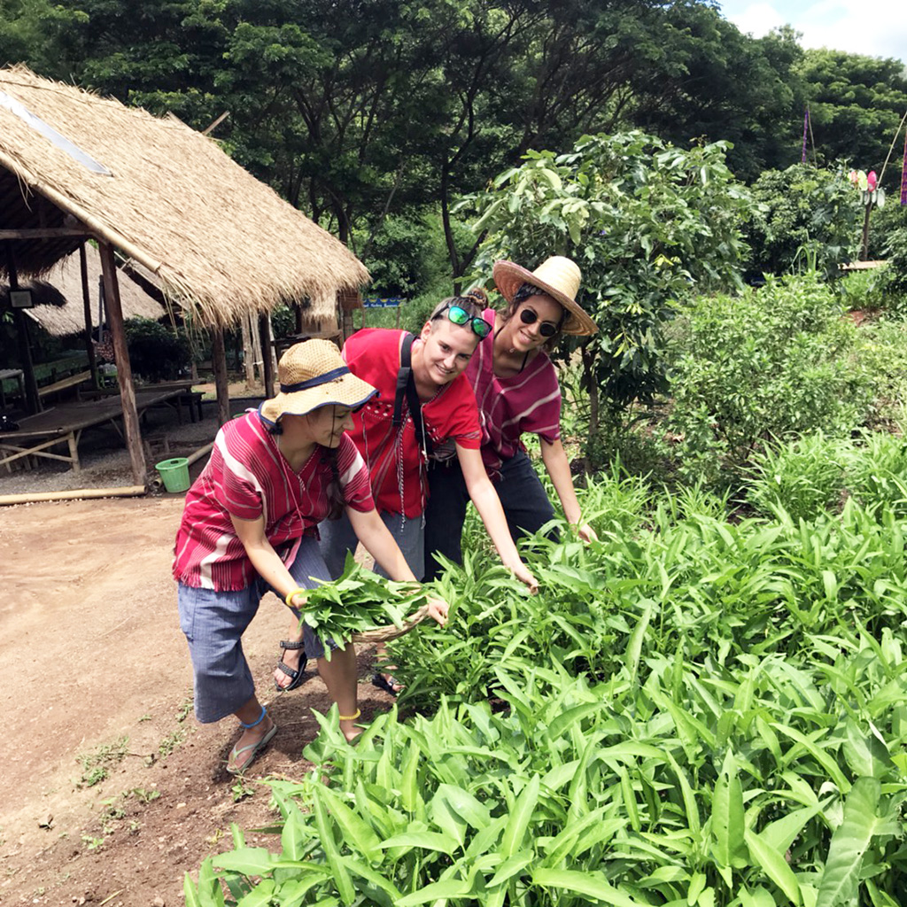 What We Do With Elephant Dung