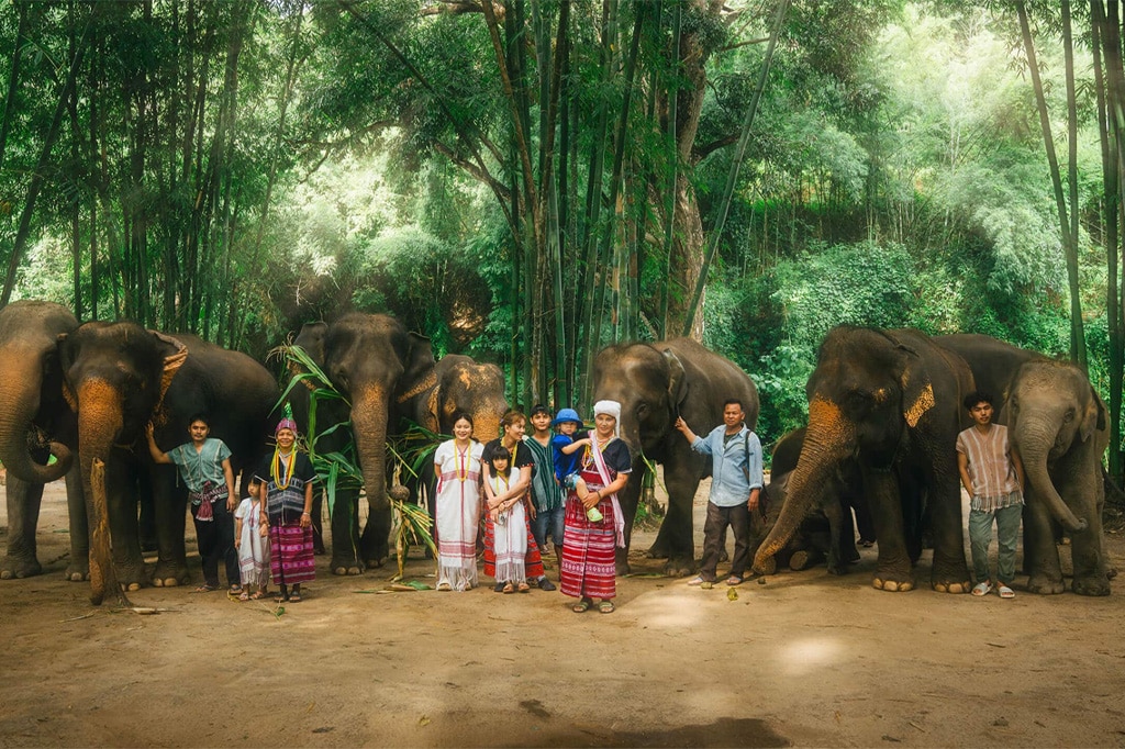 responsible-elephant-tourism-in-chiang-mai-choosing-the-right-sanctuary-for-your-values-01
