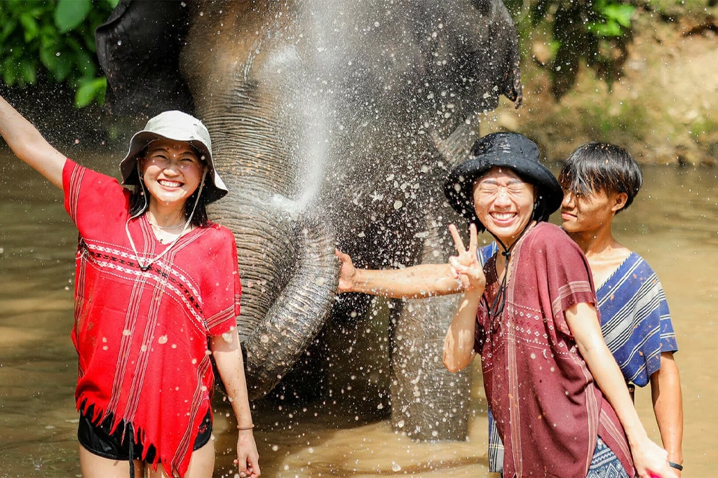 best-family-friendly-elephant-sanctuary-in-chiang-mai-01